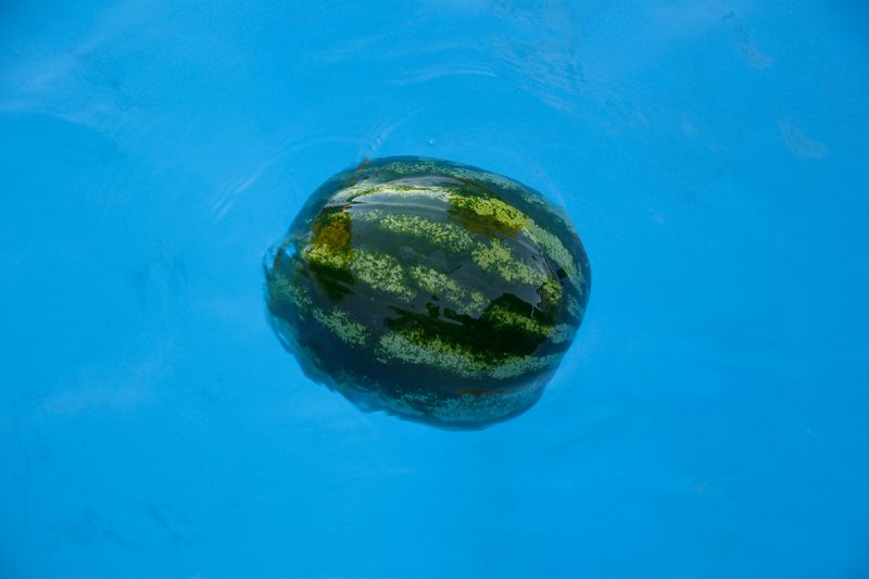 Wassermelone im Pool