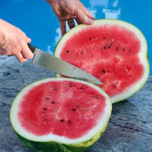 Aristos griechische Wassermelone