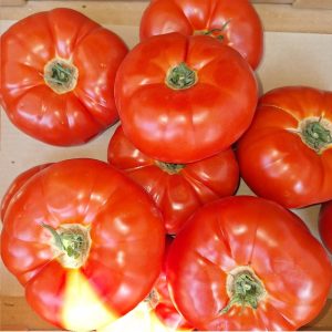 Griechische Tomaten